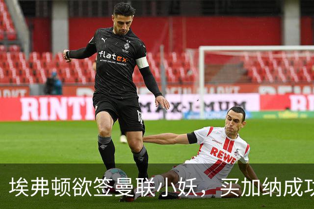 埃弗顿欲签曼联小妖，买加纳成功食髓知味！卡里克暗示三人可离队